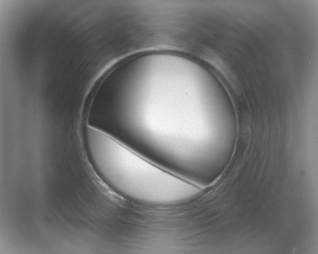 X0000070401460200606090917