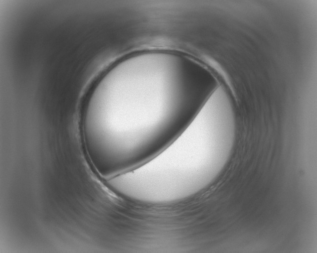 X0000070401464200606090917