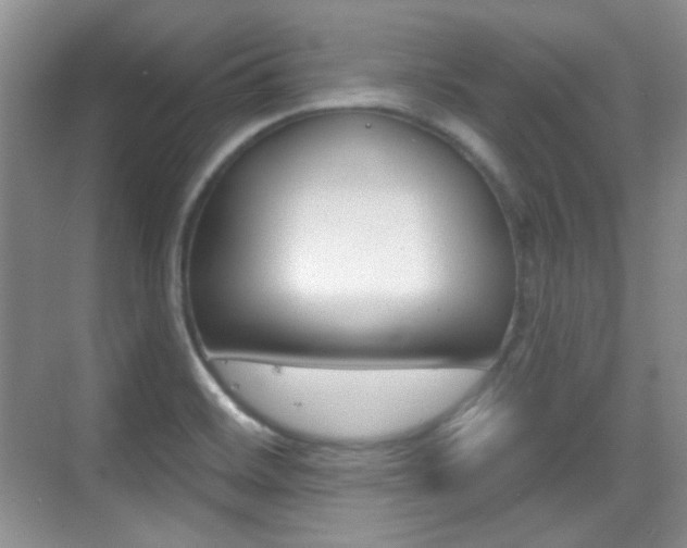 X0000070401468200606090917
