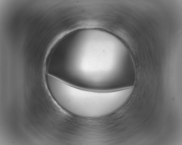 X0000070401472200606090917