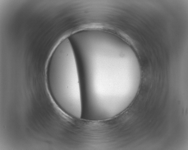 X0000070401475200606090917