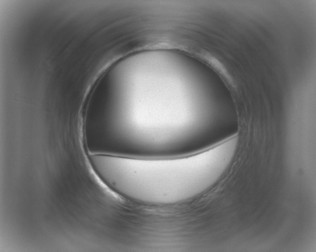 X0000070401476200606090917
