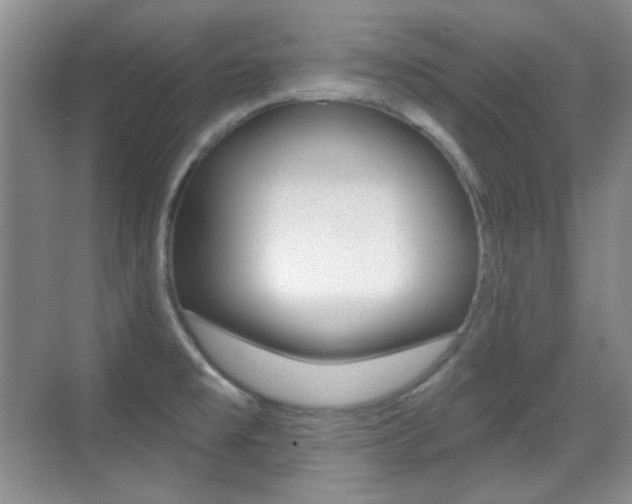 X0000070401477200606090917