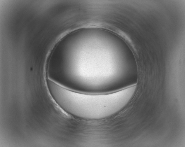 X0000070401480200606090917