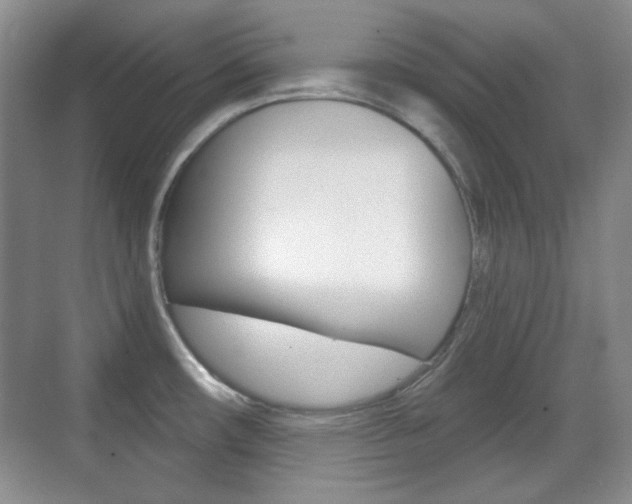 X0000070401482200606090917