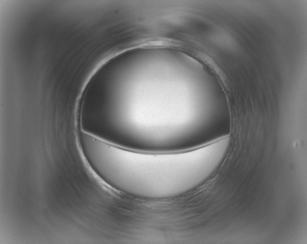 X0000070401483200606090917