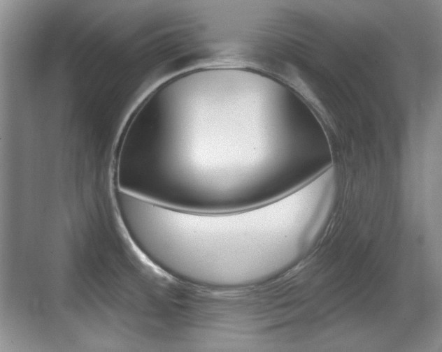 X0000070401484200606090917