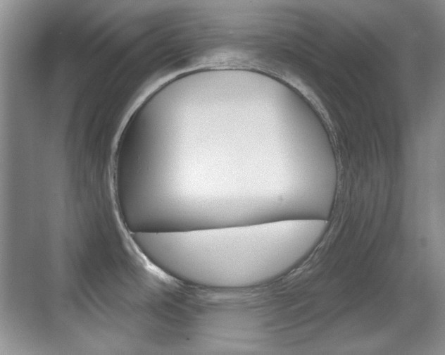 X0000070401486200606090917