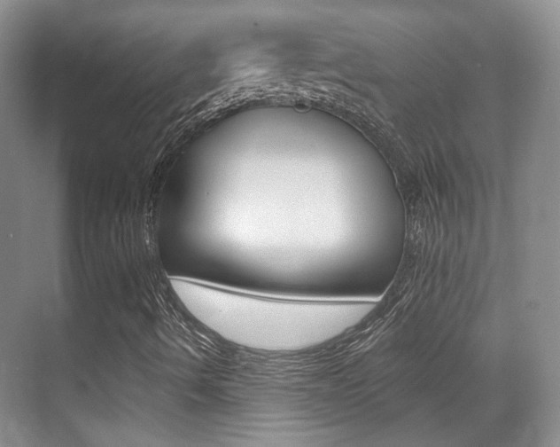X0000070401490200606090916
