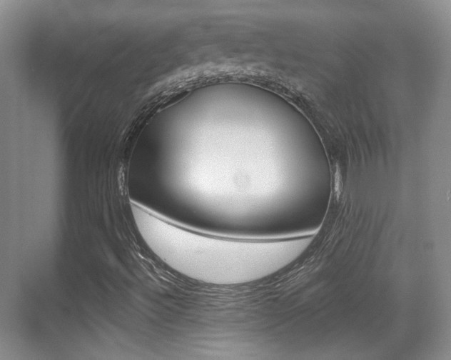 X0000070401492200606090916