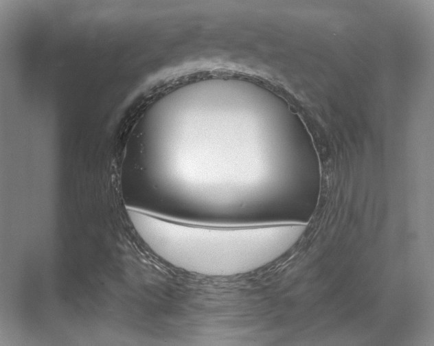 X0000070401495200606090916