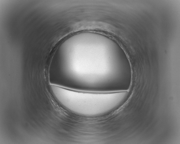 X0000070401497200606090916