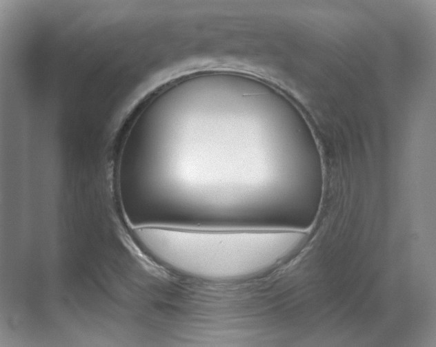X0000070401503200606090916
