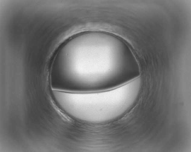 X0000070401507200606090916