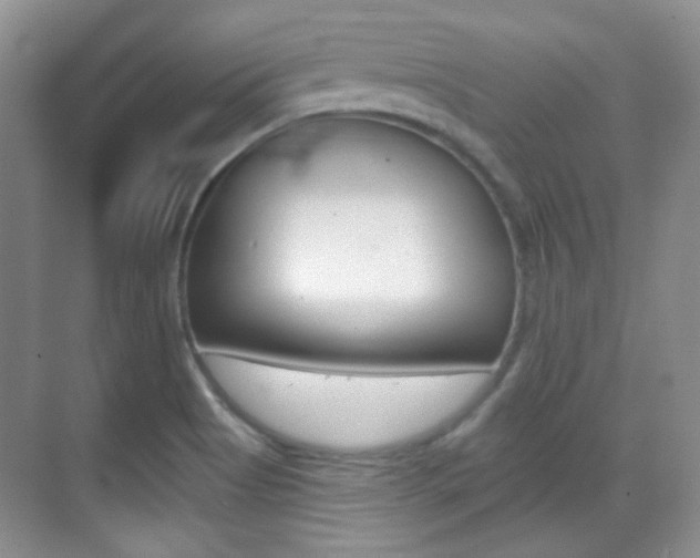 X0000070401513200606090916