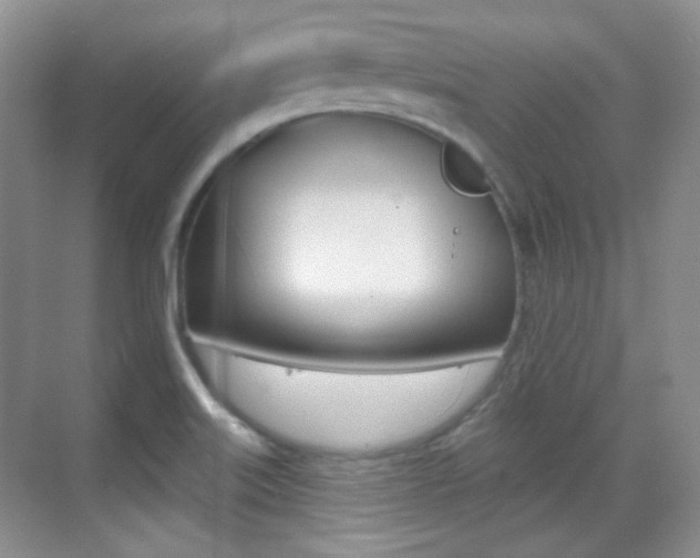 X0000070401515200606090916