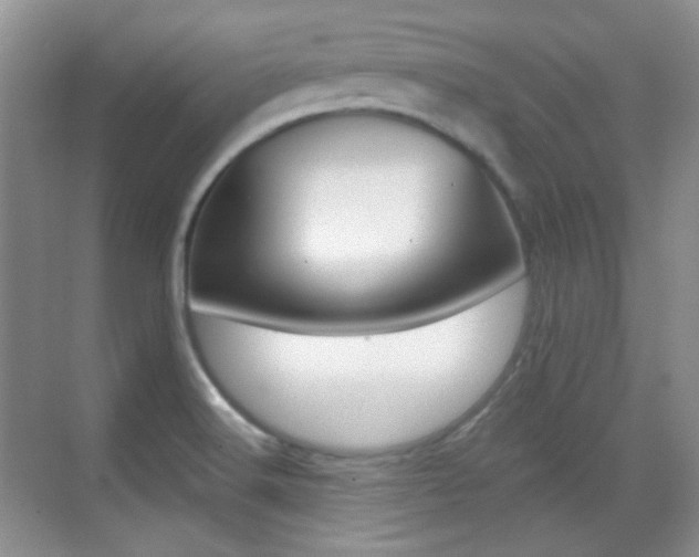 X0000070401516200606090916