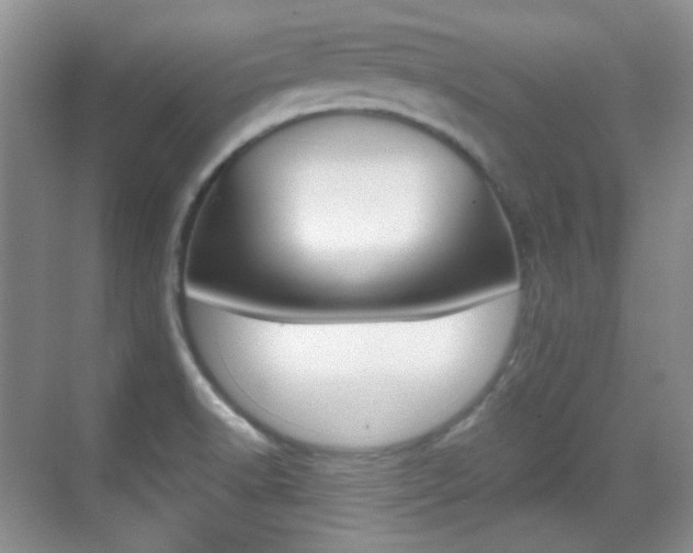 X0000070401518200606090916