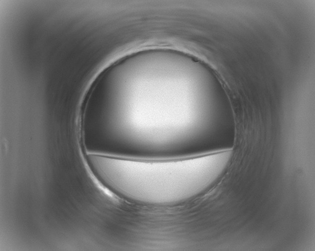 X0000070401519200606090916