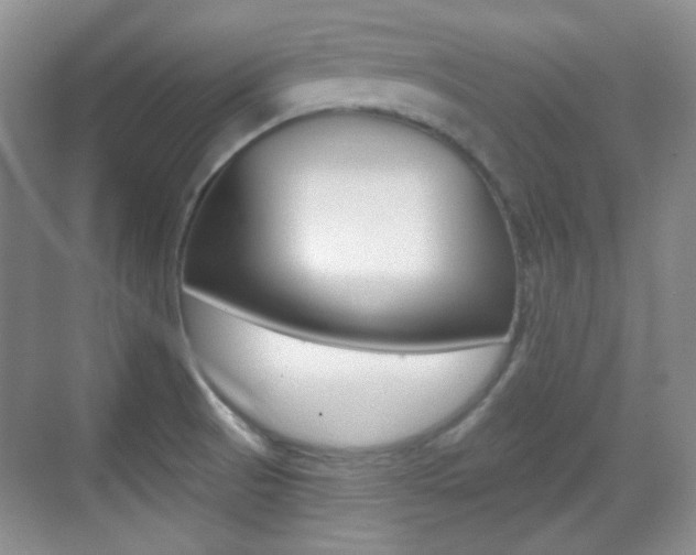 X0000070401521200606090916