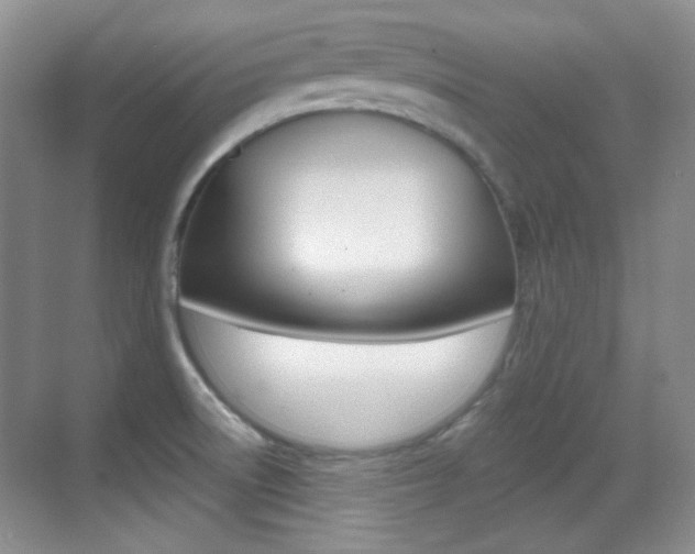 X0000070401522200606090916