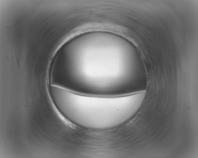 X0000070401523200606090916