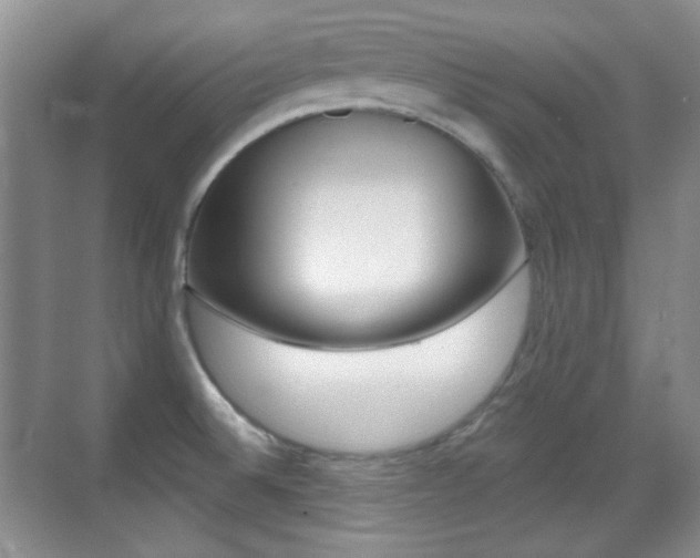 X0000070401524200606090916