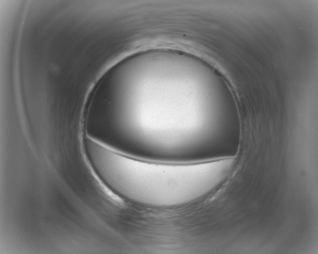 X0000070401525200606090916