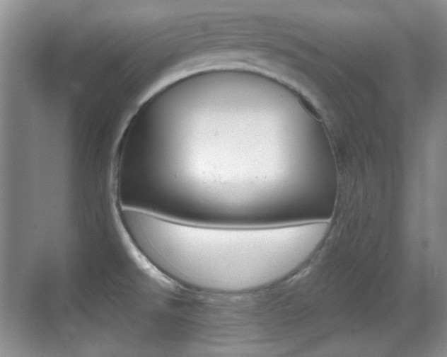 X0000070401526200606090916