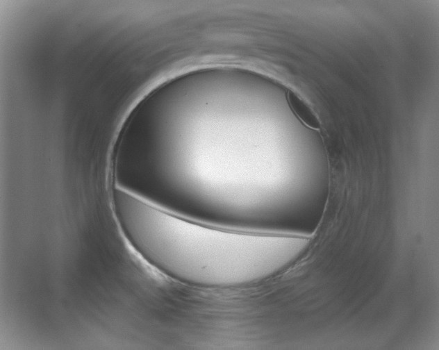 X0000070401527200606090916