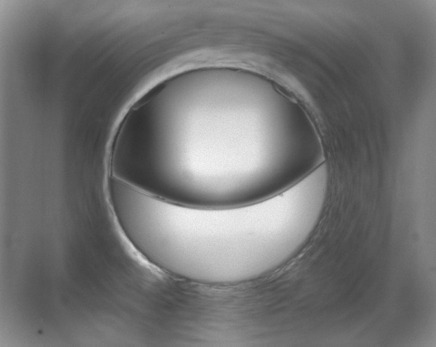 X0000070401528200606090916
