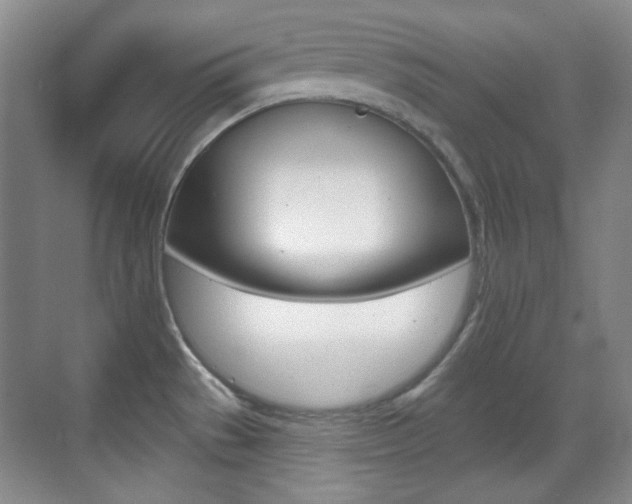 X0000070401529200606090916
