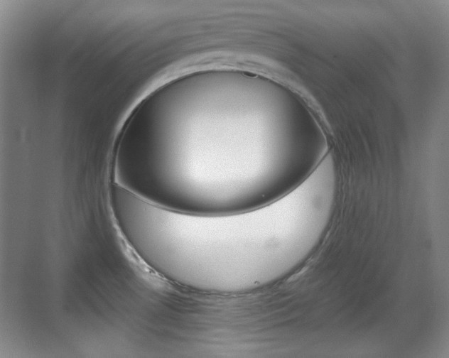 X0000070401530200606090916