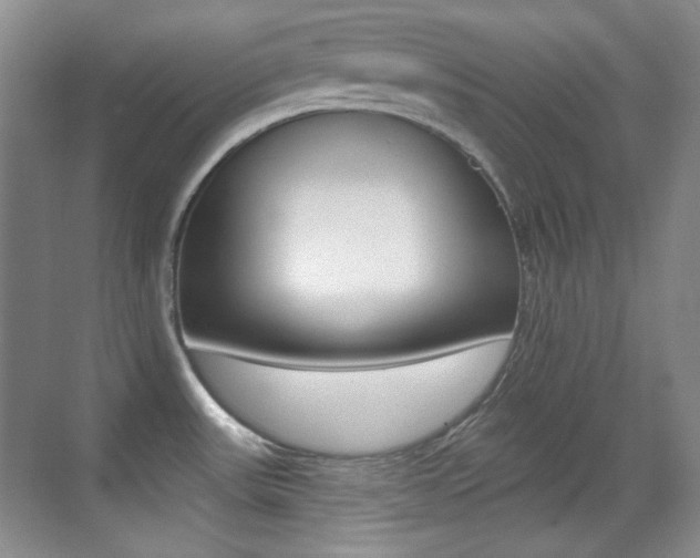 X0000070401531200606090916