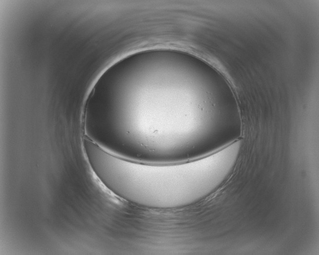 X0000070401532200606090916