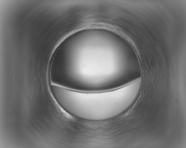 X0000070401533200606090916