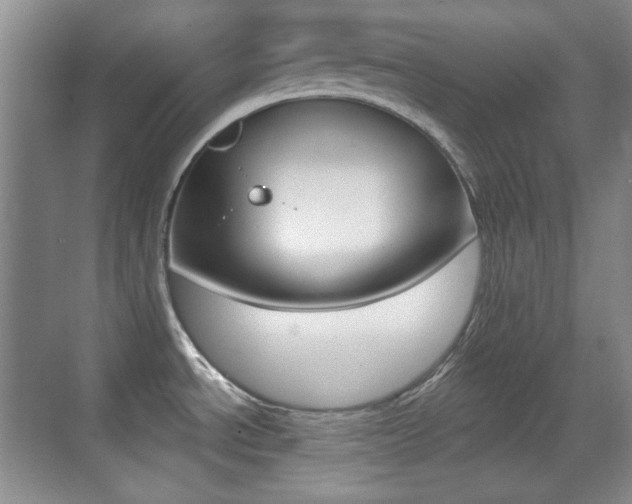 X0000070401534200606090916
