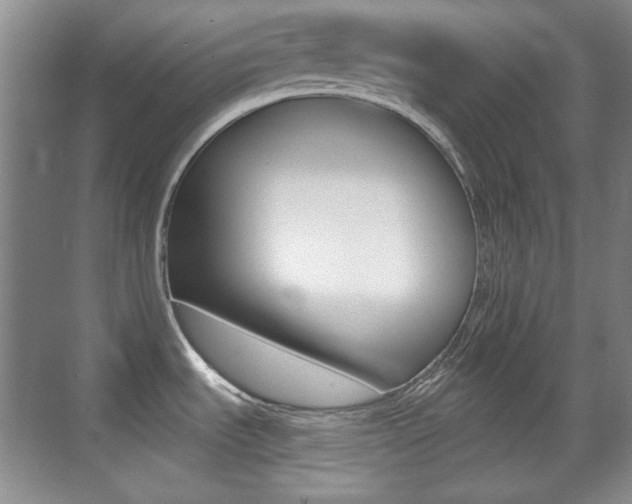 X0000070401535200606090917