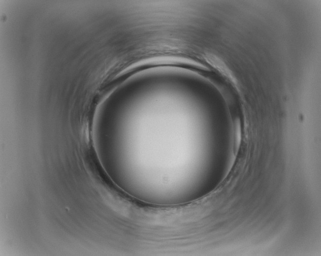 X0000070400021200606091137