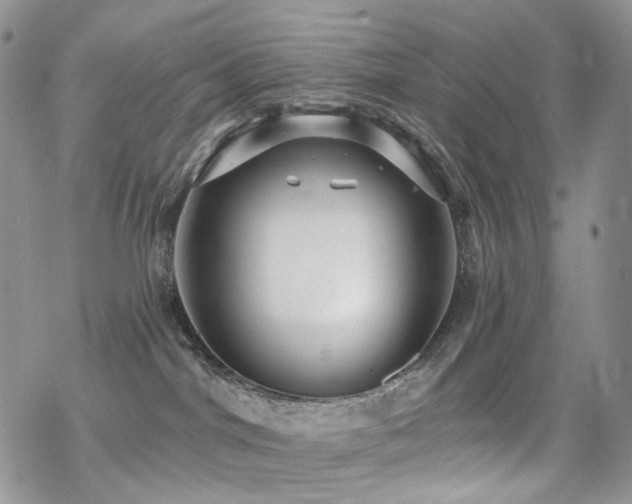 X0000070400044200606091137