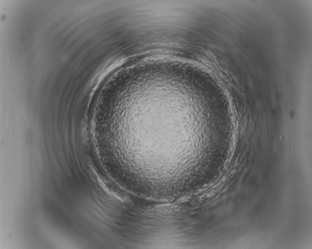 X0000070400050200606091136