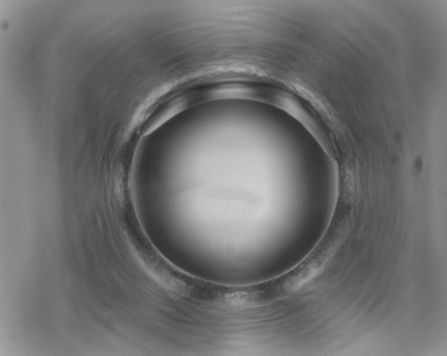 X0000070400064200606091136