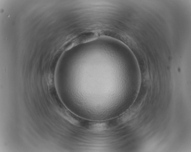 X0000070400081200606091137