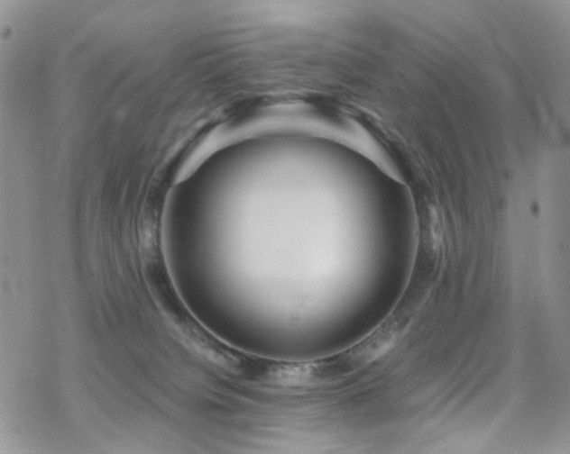 X0000070400084200606091137