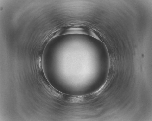 X0000070400094200606091137