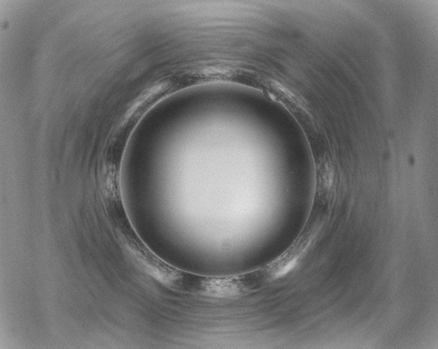 X0000070400141200606091135
