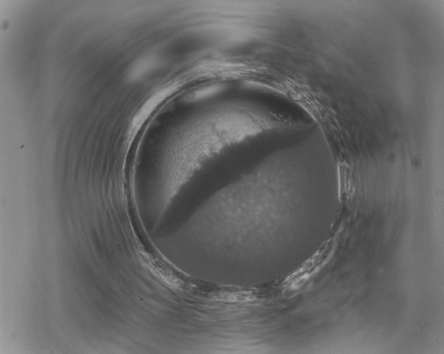 X0000070400147200606091135