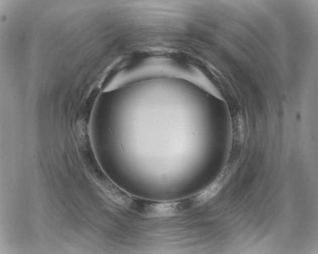 X0000070400184200606091135