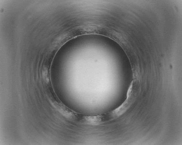 X0000070400187200606091135