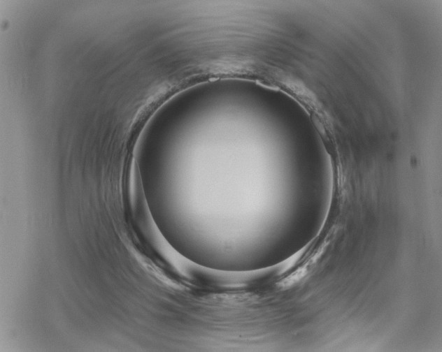 X0000070400201200606091134